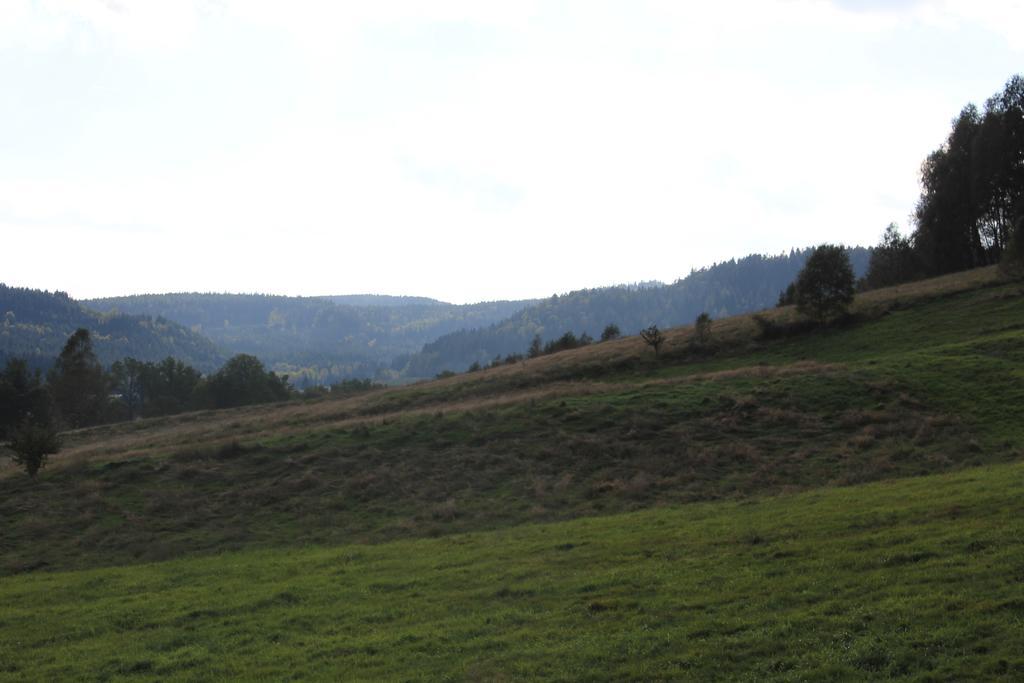 Sloneczna Zagroda - Sunny Ridge Farm Laczna  Exteriör bild